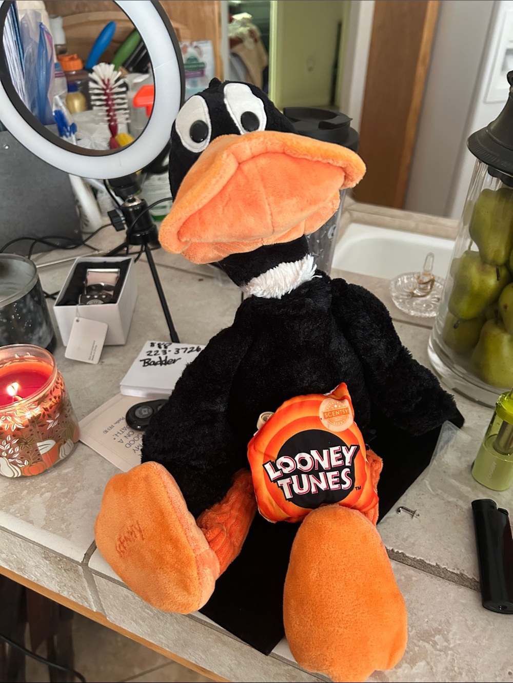 Warner Bros. Daffy Duck Plush Pet Toy - Black & Orange